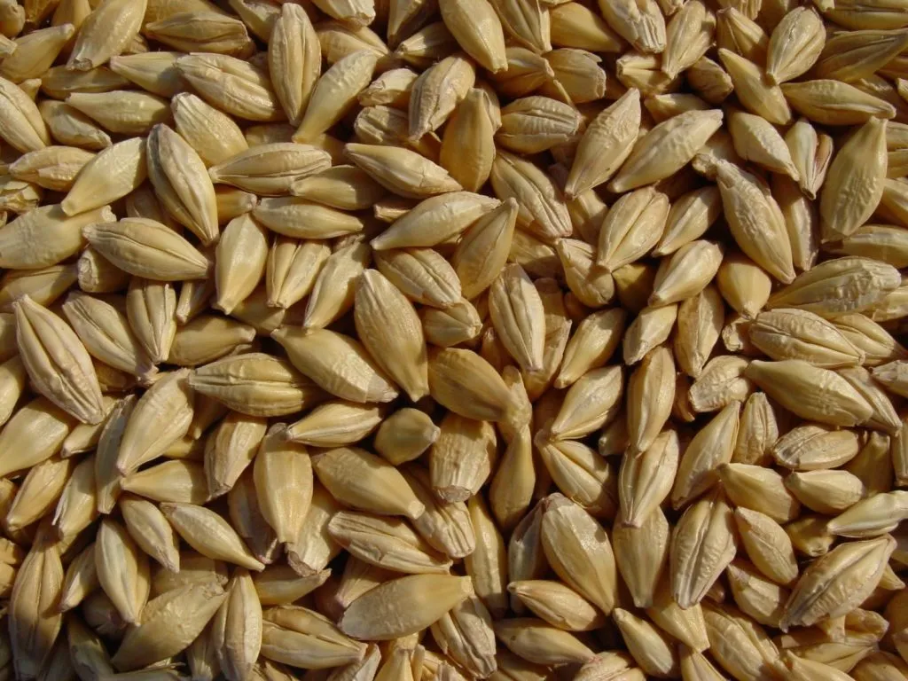  Фуражное зерно в Псковской области в Пскове